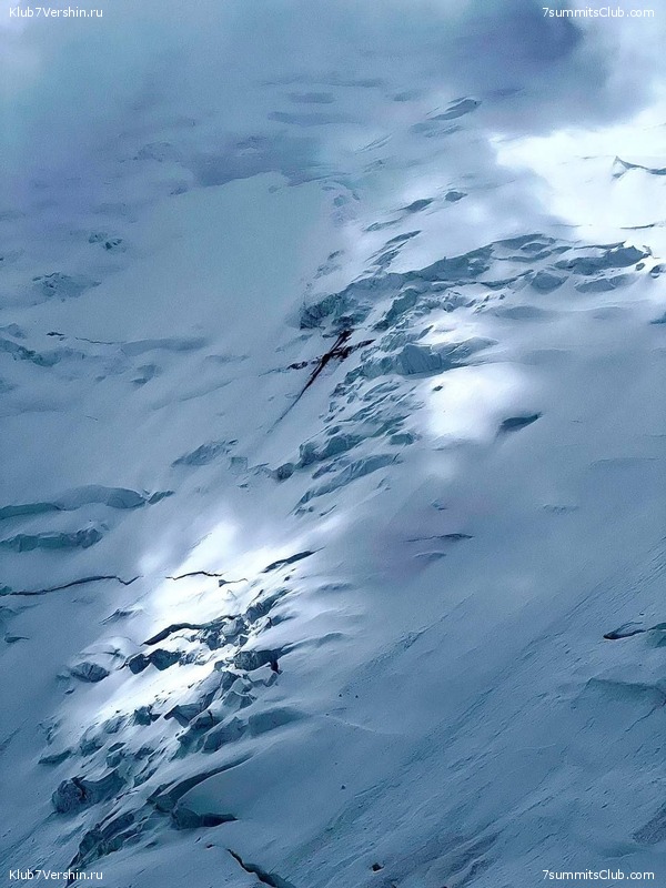 ��� ������ 2023, ����, ���� 217