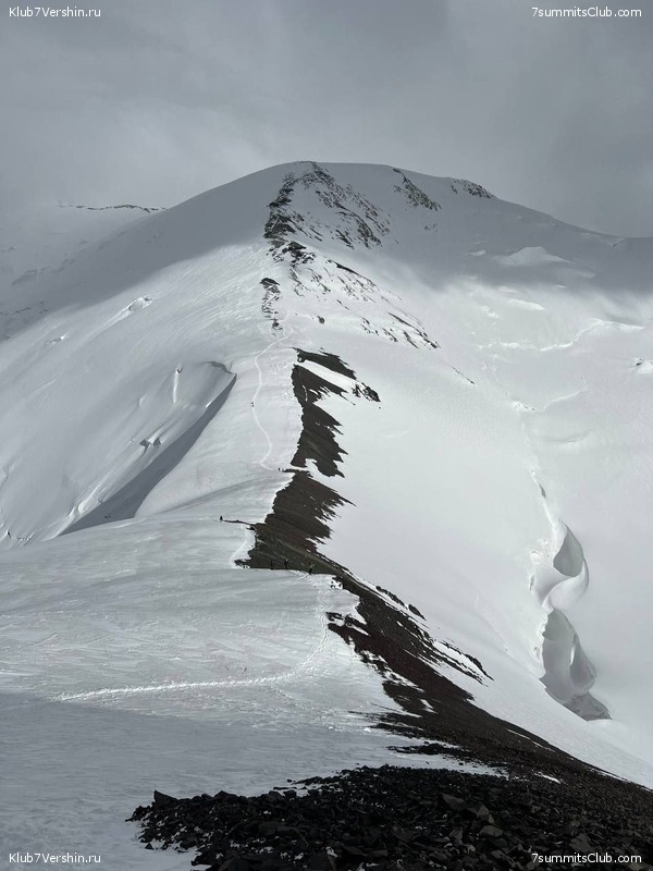 ��� ������ 2023, ����, ���� 225