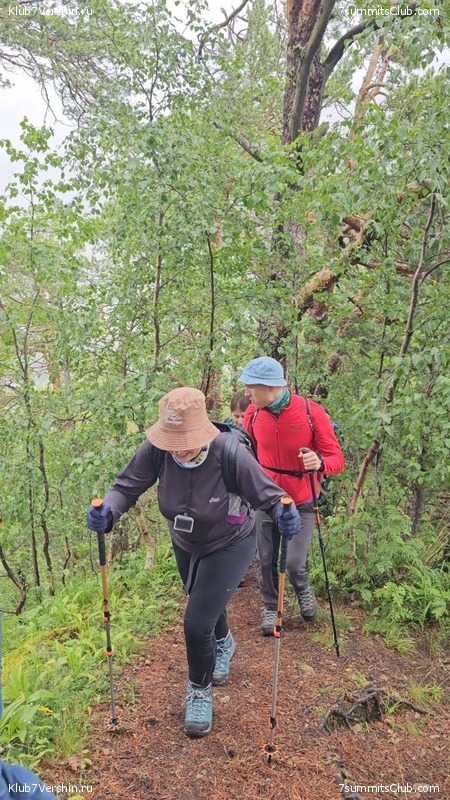 ������� 2023. 15-31 ����, ���� 85