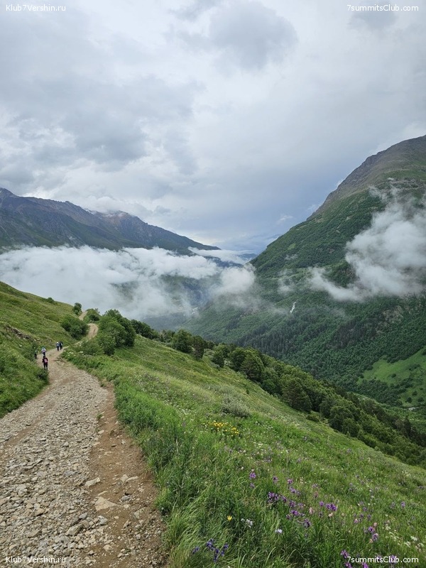 ������� 2023. 15-31 ����, ���� 66