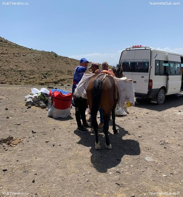 ������ 2023, ���� 95