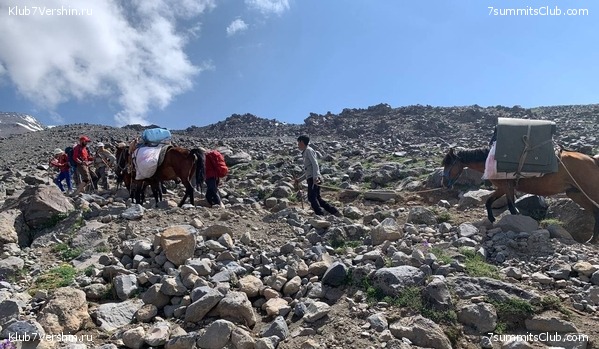 ������ 2023, ���� 13