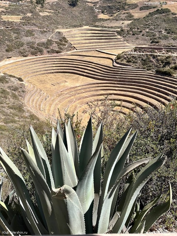 ����������� � ���������� �����. ���� 2023, ���� 144