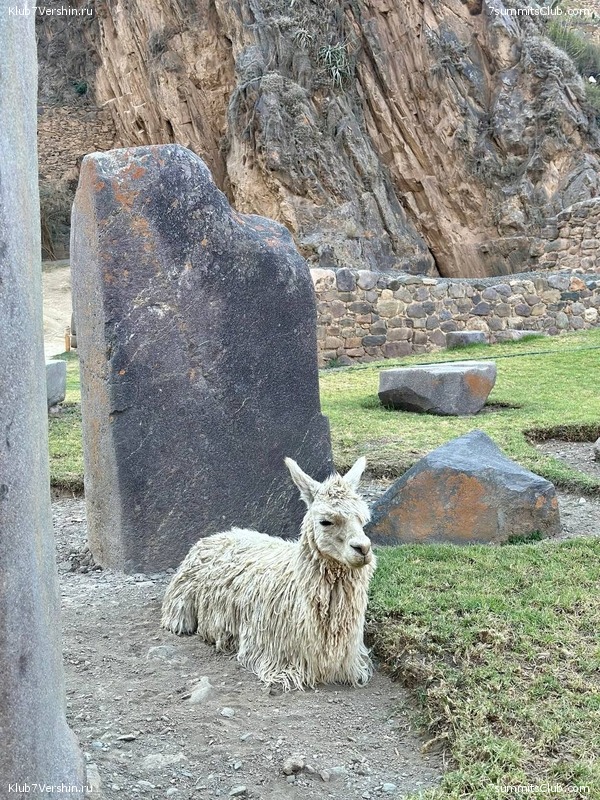 ����������� � ���������� �����. ���� 2023, ���� 147