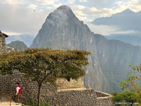 ����������� � ���������� �����. ���� 2023, ���� 31