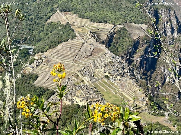 ����������� � ���������� �����. ���� 2023, ���� 42