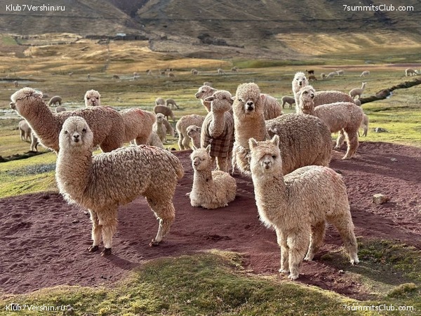 ����������� � ���������� �����. ���� 2023, ���� 59