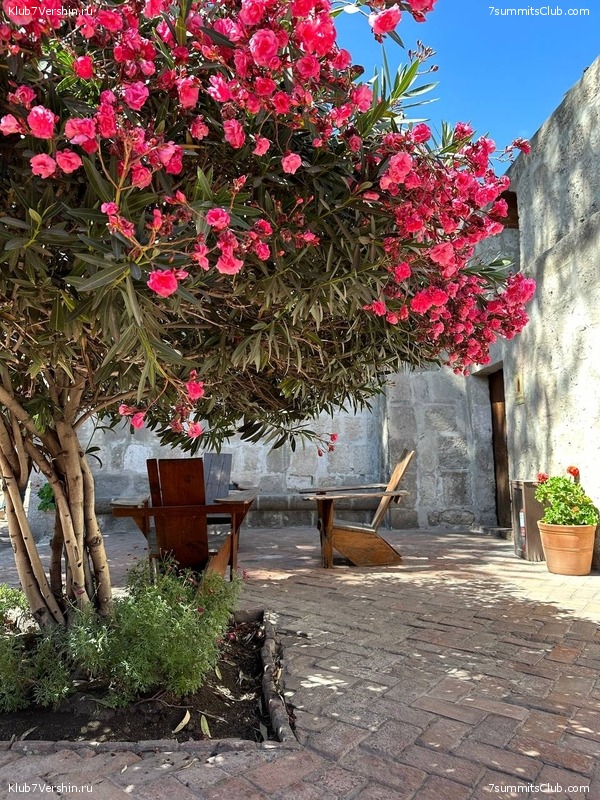 ����������� � ���������� �����. ���� 2023, ���� 181