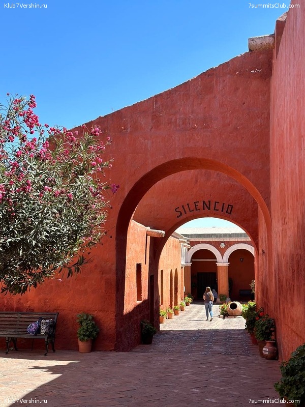 ����������� � ���������� �����. ���� 2023, ���� 182