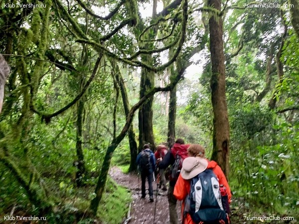 ������������ 2023.  ������ - ��������. ����� ���������, ���� 161