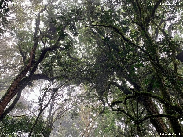 ������������ 2023.  ������ - ��������. ����� ���������, ���� 155