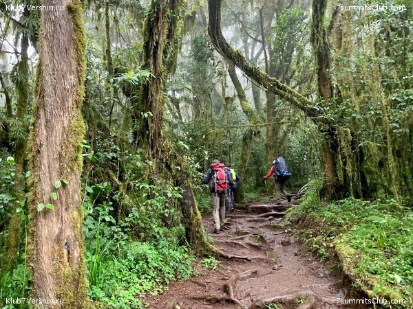 ������������ 2023.  ������ - ��������. ����� ���������, ���� 162