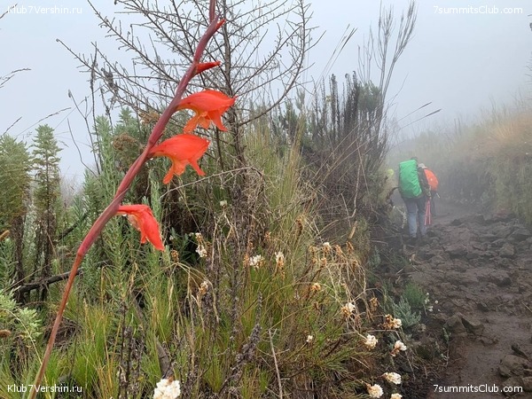 ������������ 2023.  ������ - ��������. ����� ���������, ���� 167