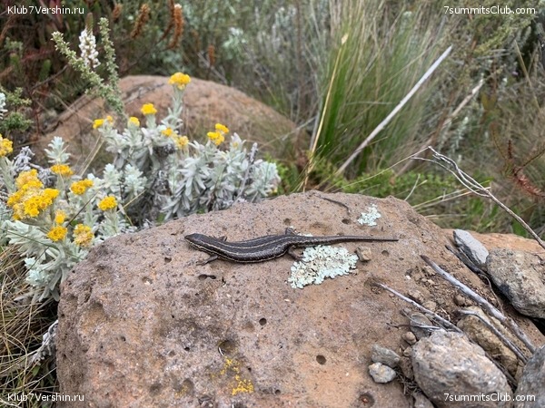 ������������ 2023.  ������ - ��������. ����� ���������, ���� 172