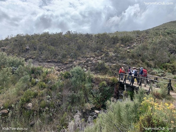 ������������ 2023.  ������ - ��������. ����� ���������, ���� 173