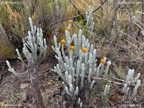 ������������ 2023.  ������ - ��������. ����� ���������, ���� 175