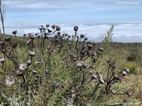 ������������ 2023.  ������ - ��������. ����� ���������, ���� 176