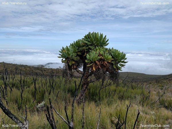 ������������ 2023.  ������ - ��������. ����� ���������, ���� 177