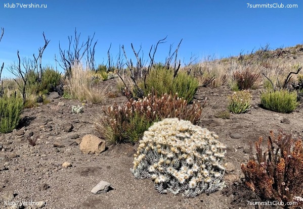 ������������ 2023.  ������ - ��������. ����� ���������, ���� 103