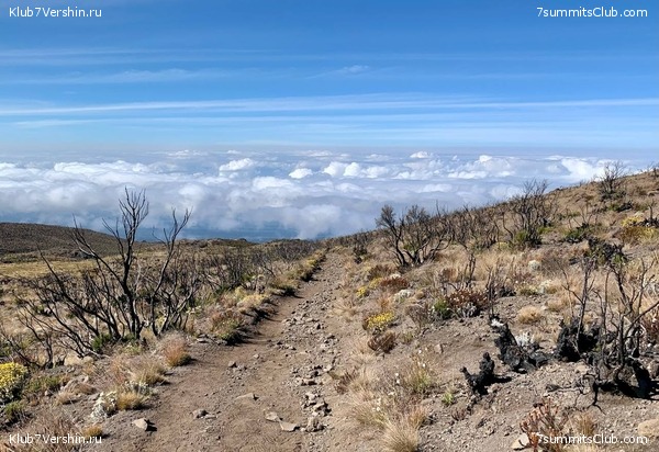 ������������ 2023.  ������ - ��������. ����� ���������, ���� 96