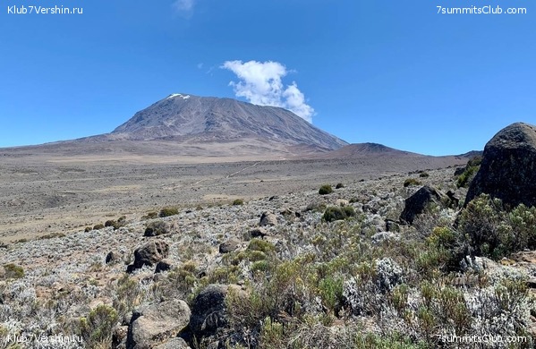 ������������ 2023.  ������ - ��������. ����� ���������, ���� 41