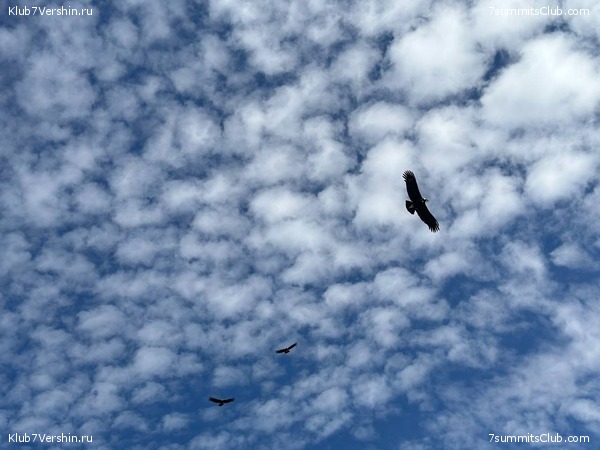 ����������� � ���������� �����. ���� 2023, ���� 111