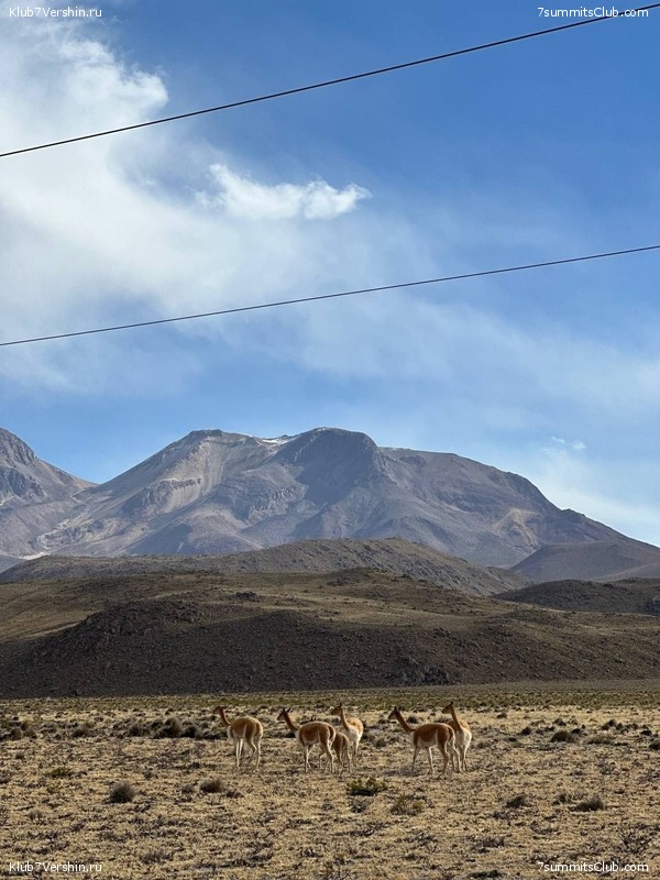 ����������� � ���������� �����. ���� 2023, ���� 184