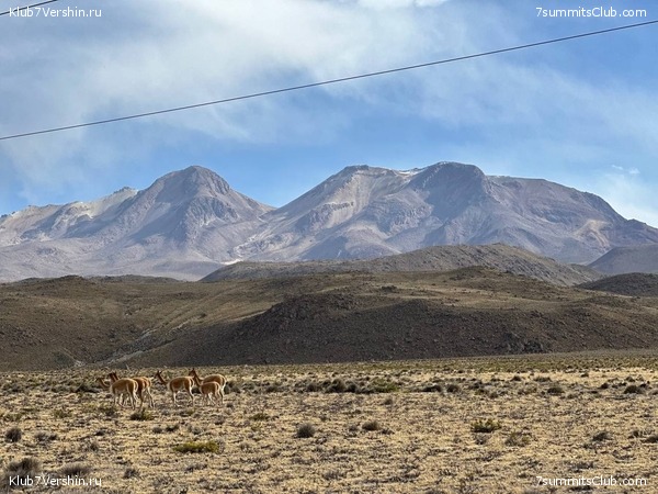 ����������� � ���������� �����. ���� 2023, ���� 116