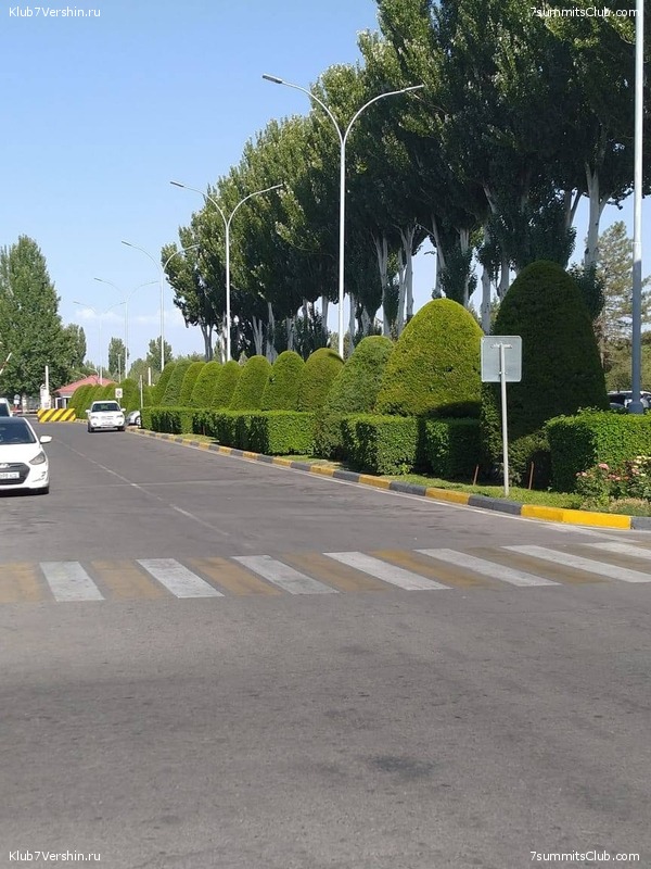 ���-������ 2023, ���� 33