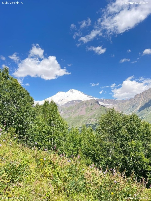 ������� 2023. ������ 1 - 15, ���� 99