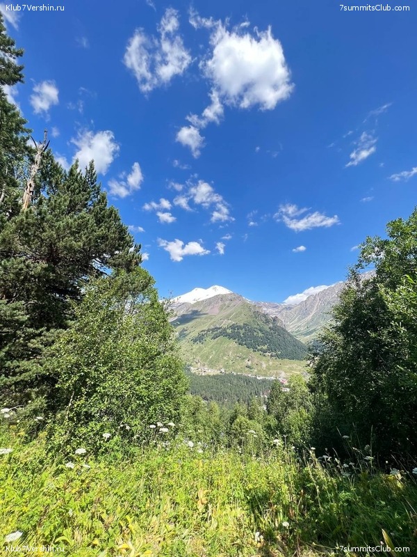 ������� 2023. ������ 1 - 15, ���� 101