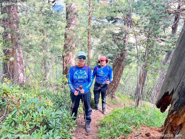 ������� 2023. ������ 16-31, ���� 31