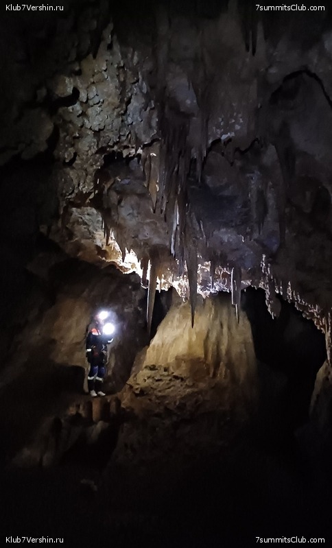 �������� ���� � ����� 2023 ���, ���� 100