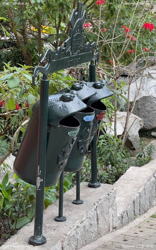 ���� 2023. ����������� �� ���� ������, ���� 81