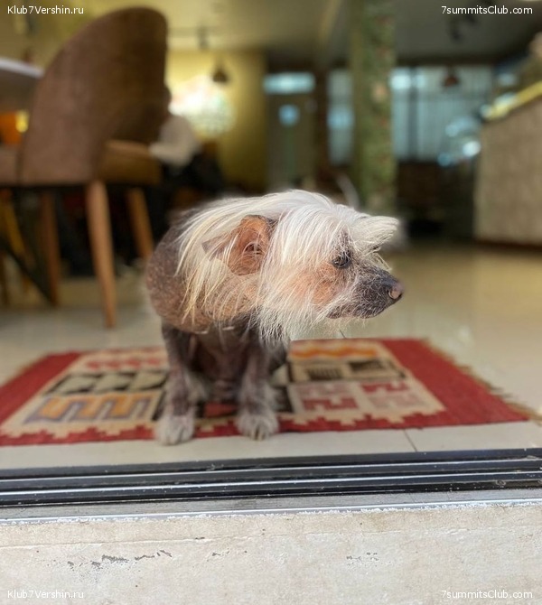 ���� 2023. ����������� �� ���� ������, ���� 31