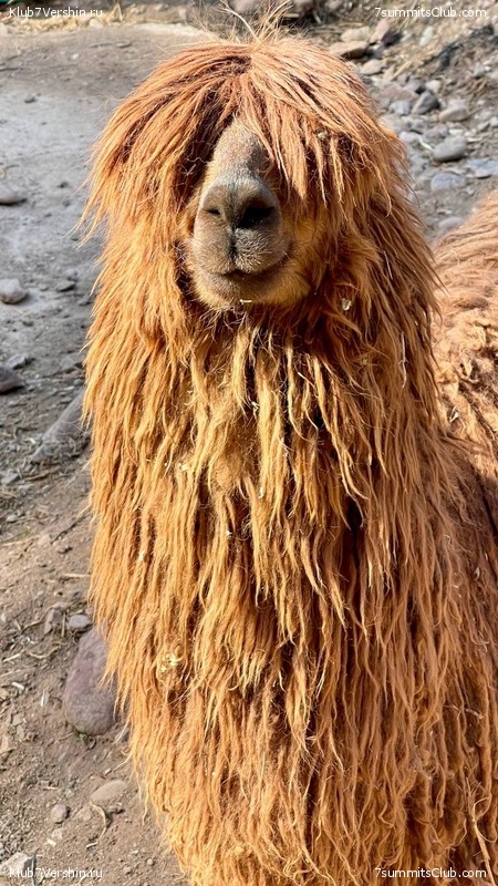 ���� 2023. ����������� �� ���� ������, ���� 89