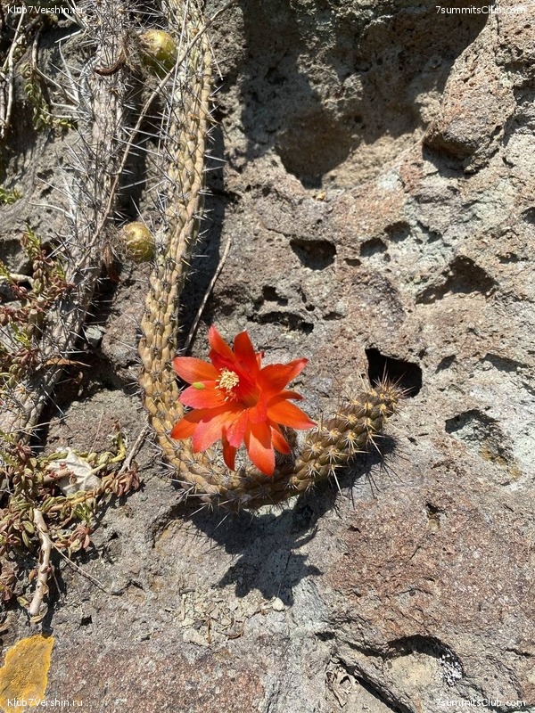 ���� 2023. ����������� �� ���� ������, ���� 59