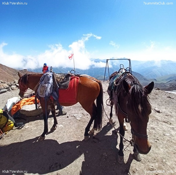 ������ 2023, ���� 59