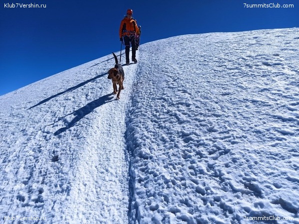 ������ 2023, ���� 42