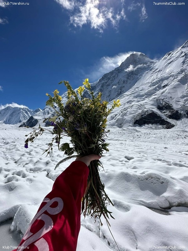 ���-������ 2023, ���� 74