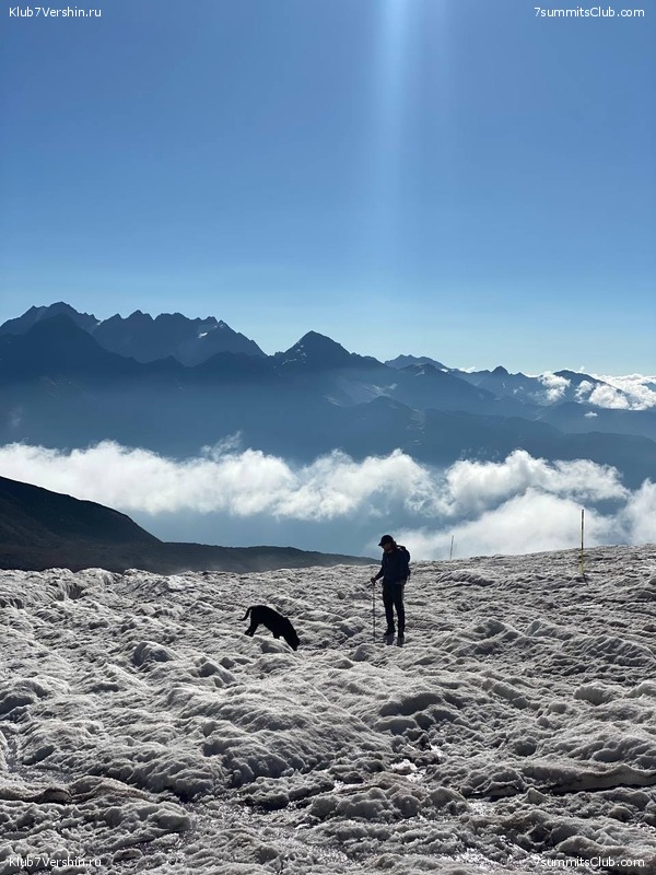 ������ 2023, ���� 130