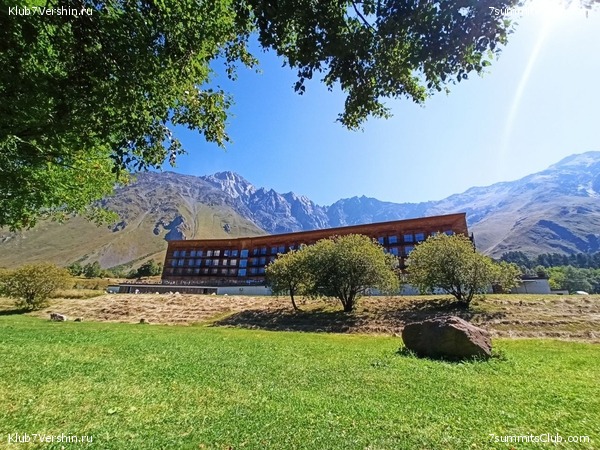 ������ 2023, ���� 49