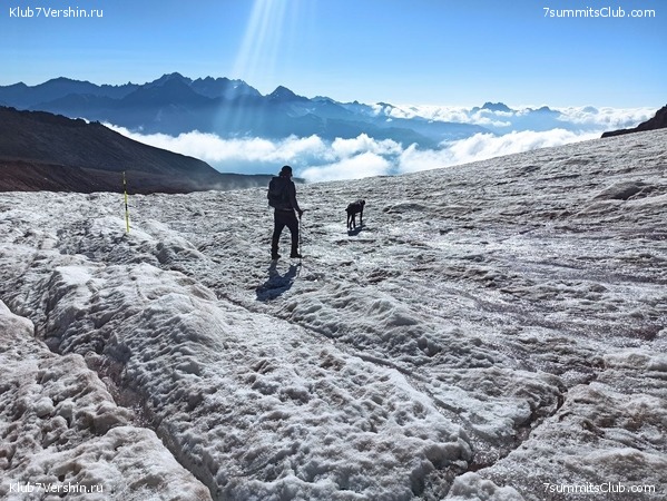 ������ 2023, ���� 51