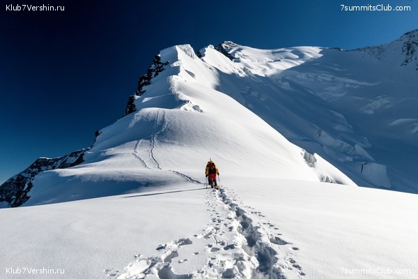 ��������� ���������: ���� ������������ - ���������� 2023, ���� 39