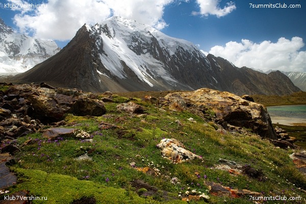 ��������� ���������: ���� ������������ - ���������� 2023, ���� 56