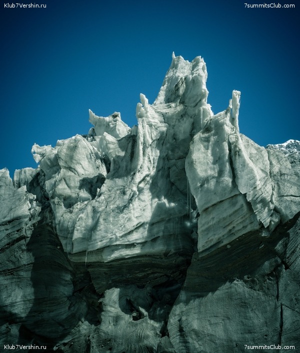 ��������� ���������: ���� ������������ - ���������� 2023, ���� 131