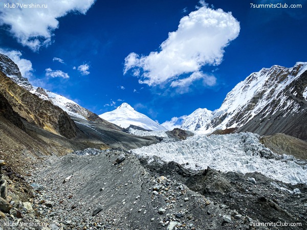 ��������� ���������: ���� ������������ - ���������� 2023, ���� 113