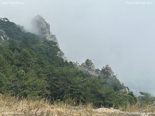 �������� ���� � ����� 2023 ���, ���� 31