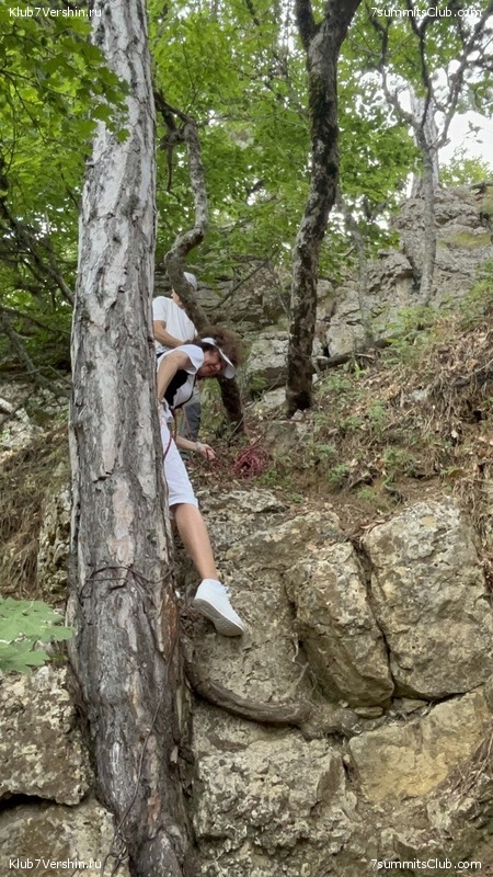 �������� ���� � ����� 2023 ���, ���� 106