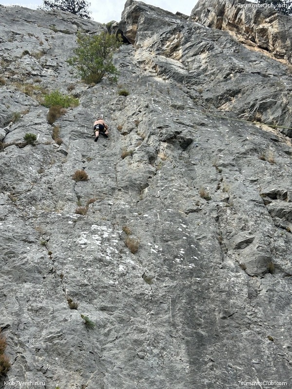 �������� ���� � ����� 2023 ���, ���� 54